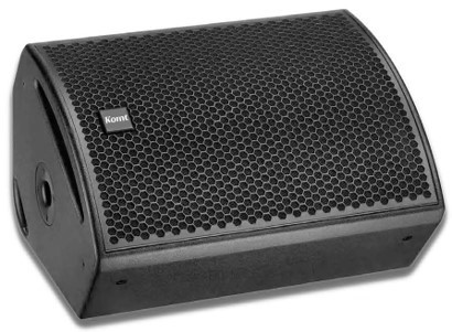 SM-151 (Single 15" monitor Speaker)